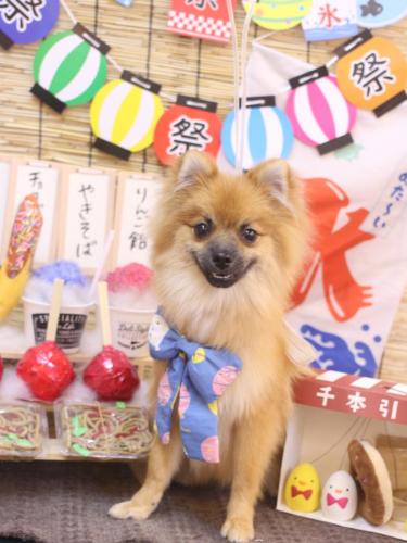 20240730ロコくん